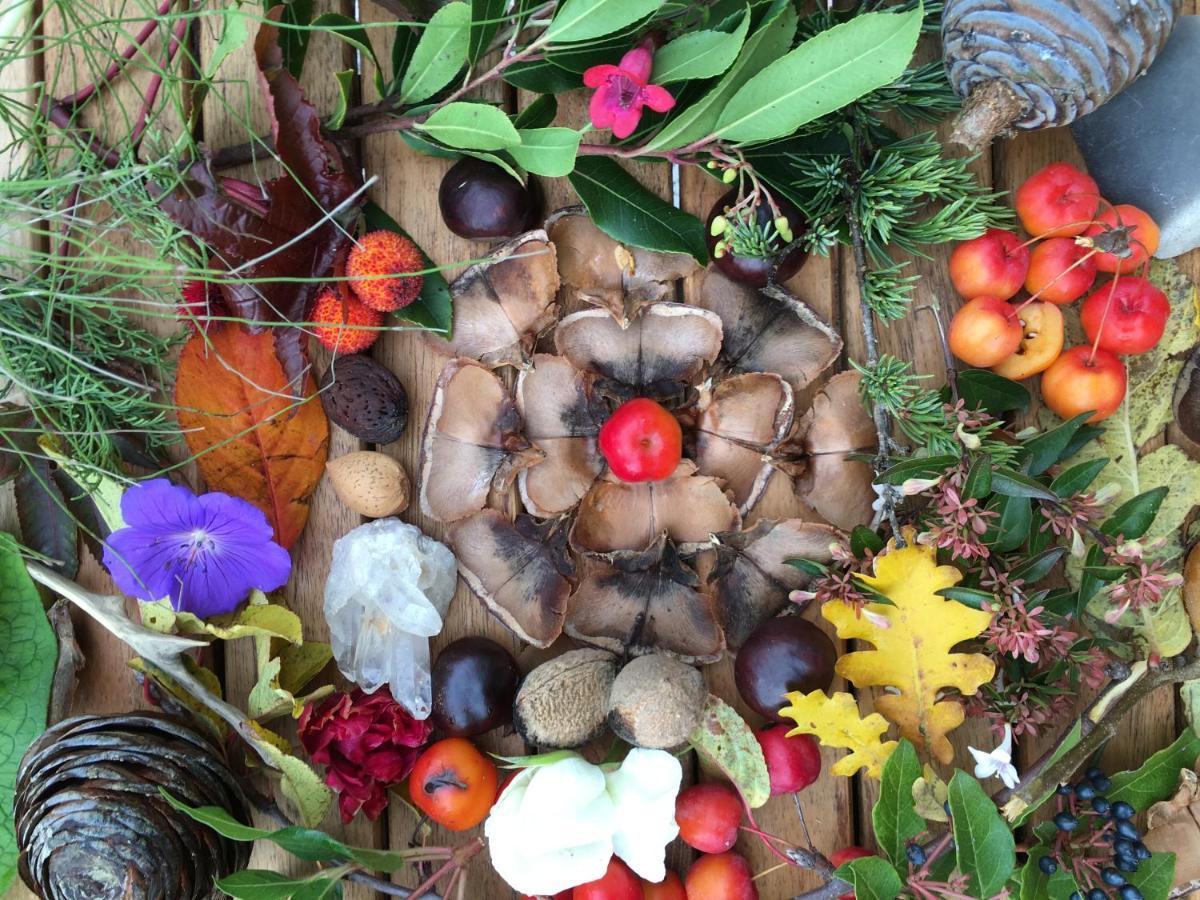 Chabeuil La Source, Vegetarian Guest House المظهر الخارجي الصورة