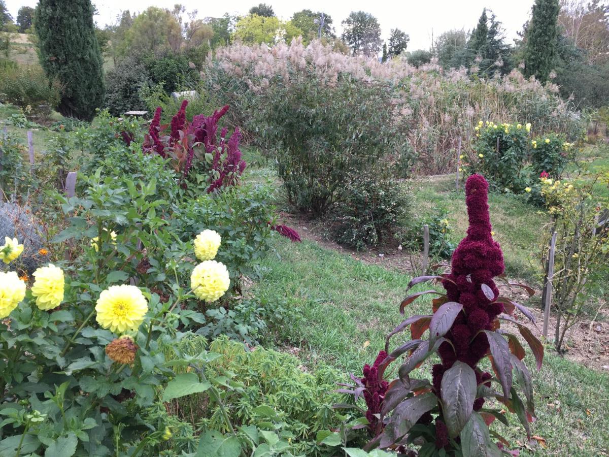 Chabeuil La Source, Vegetarian Guest House المظهر الخارجي الصورة