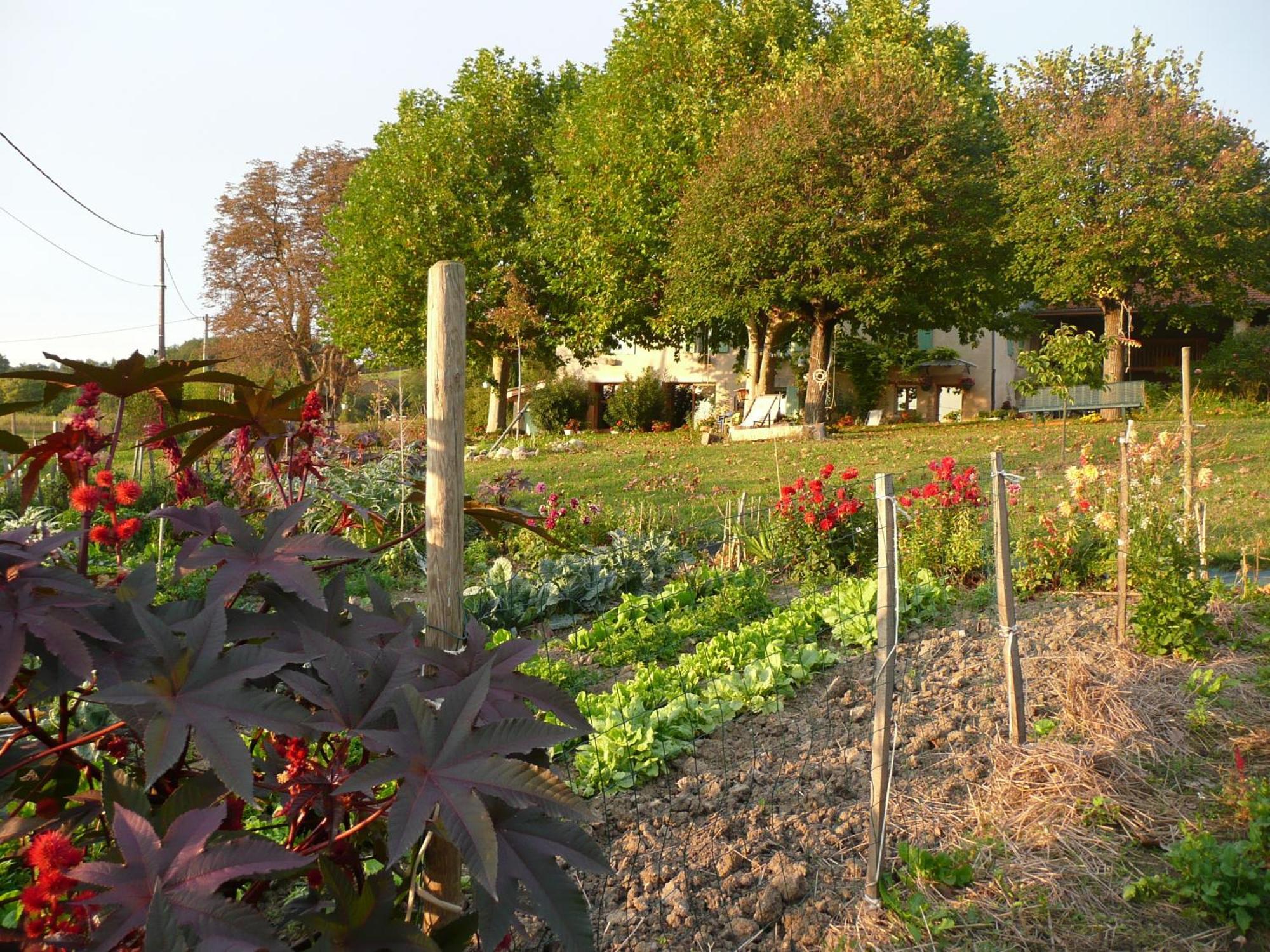 Chabeuil La Source, Vegetarian Guest House المظهر الخارجي الصورة